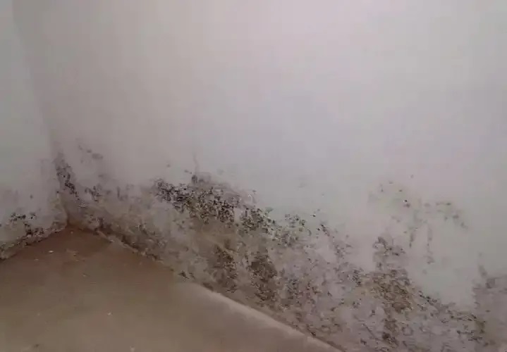 防水≠防滲！80%的人都弄錯了！